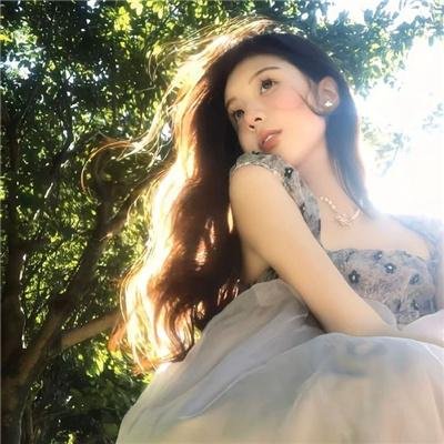 侠盗正传